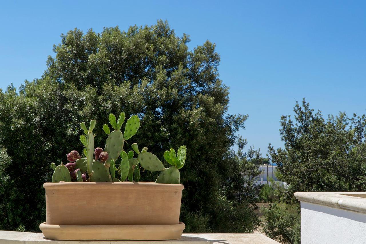 Santa Maria di Leuca Antonella B&B المظهر الخارجي الصورة